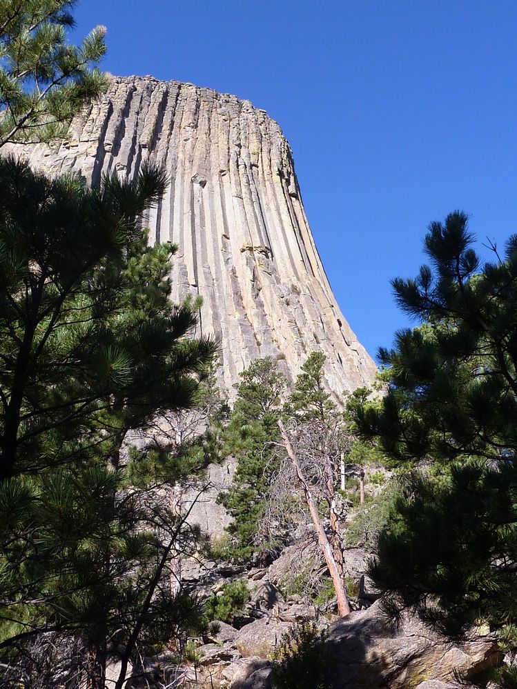 Devil tower (51).JPG